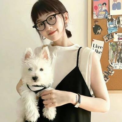 孤狼救援