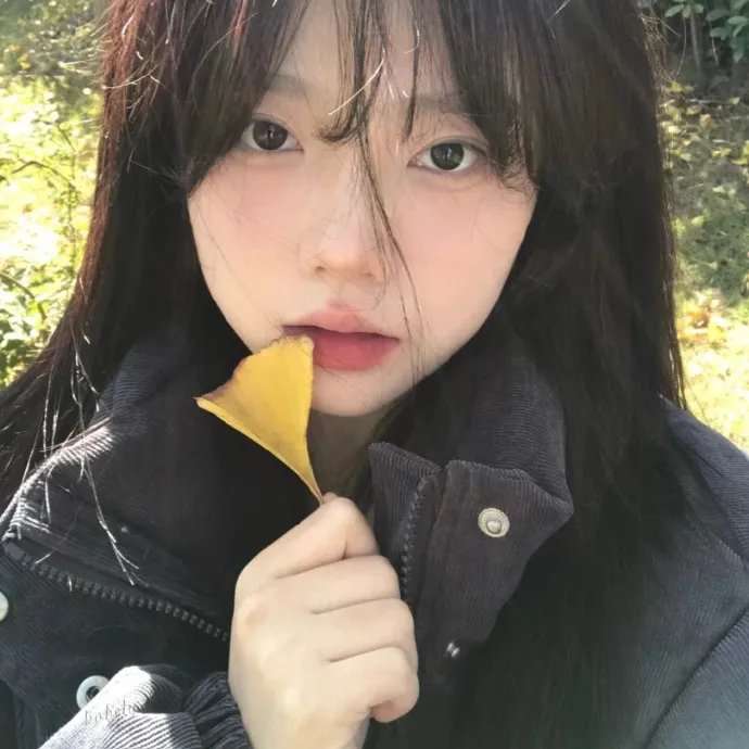 歌手 我们的歌手